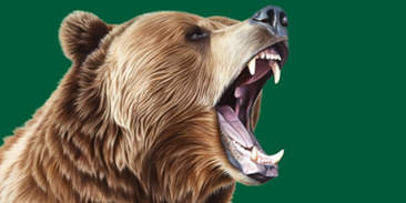 A drawn image of a roaring bear on a green background.